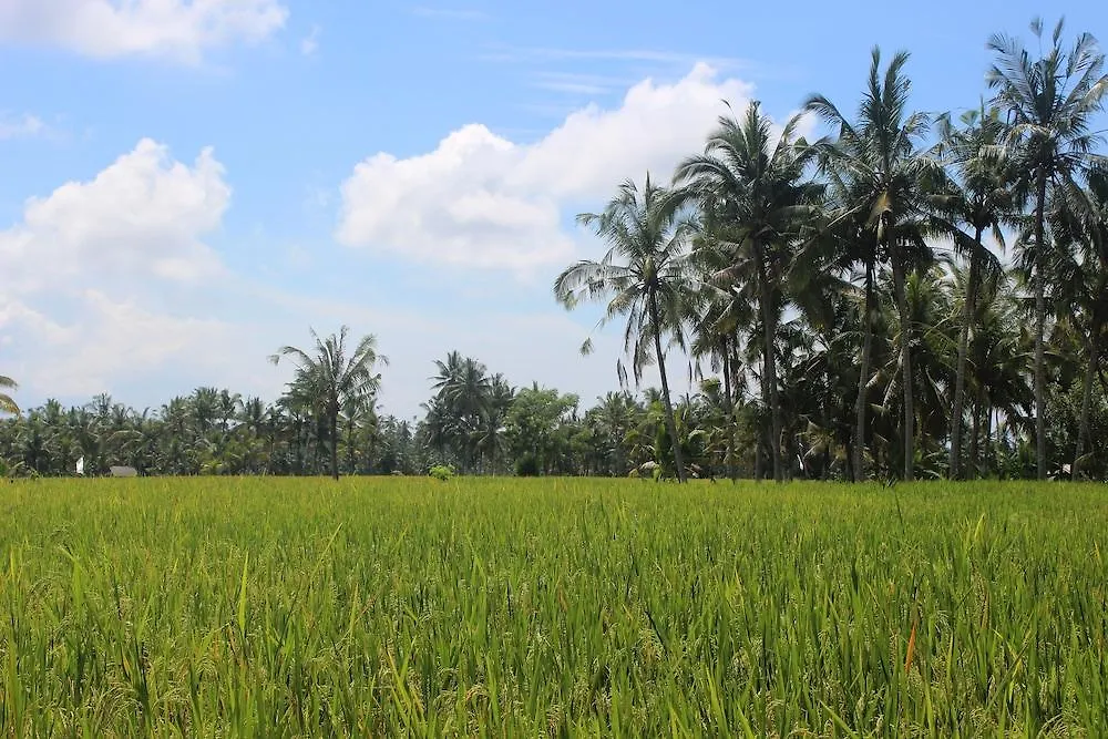 Villa Hening Bali Ubud