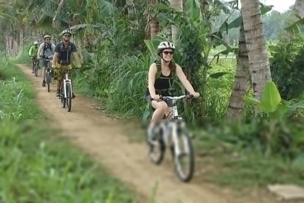 Villa Hening Bali Ubud